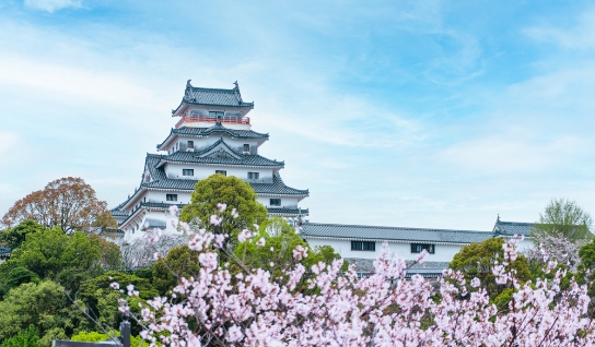 唐津城